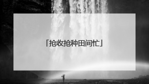 抢收抢种田间忙