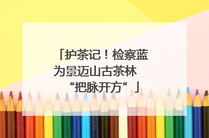 护茶记！检察蓝为景迈山古茶林 “把脉开方”