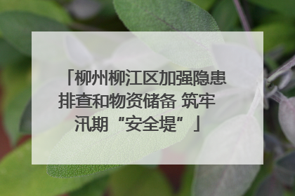 柳州柳江区加强隐患排查和物资储备 筑牢汛期“安全堤”