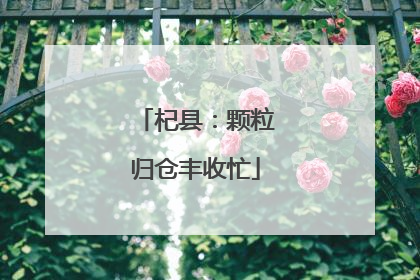 杞县：颗粒归仓丰收忙