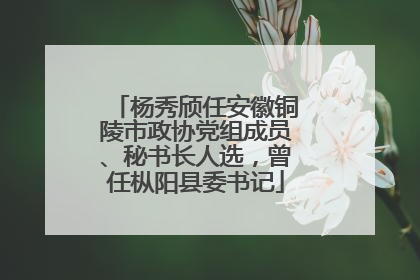 杨秀颀任安徽铜陵市政协党组成员、秘书长人选，曾任枞阳县委书记