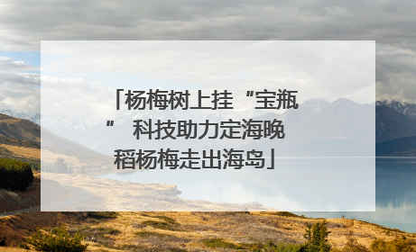 杨梅树上挂“宝瓶” 科技助力定海晚稻杨梅走出海岛