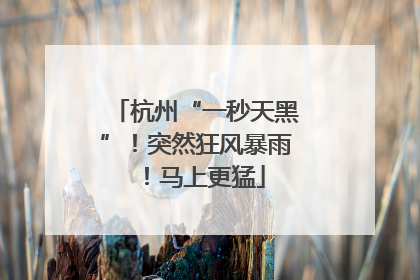 杭州“一秒天黑”！突然狂风暴雨！马上更猛