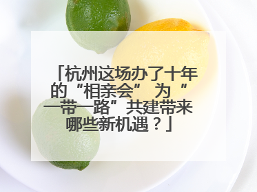 杭州这场办了十年的“相亲会” 为“一带一路”共建带来哪些新机遇？