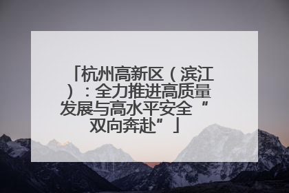 杭州高新区（滨江）：全力推进高质量发展与高水平安全“双向奔赴”