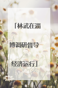 林武在淄博调研督导经济运行