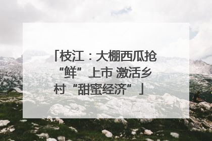 枝江：大棚西瓜抢“鲜”上市 激活乡村“甜蜜经济”