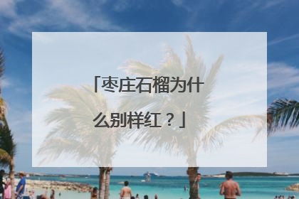 枣庄石榴为什么别样红？