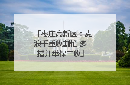 枣庄高新区：麦浪千重收割忙 多措并举保丰收