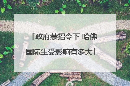 政府禁招令下 哈佛国际生受影响有多大
