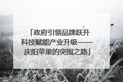 政府引领品牌跃升 科技赋能产业升级——庆阳苹果的突围之路