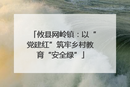 攸县网岭镇：以“党建红”筑牢乡村教育“安全绿”