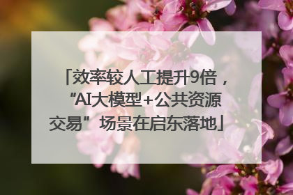 效率较人工提升9倍，“AI大模型+公共资源交易”场景在启东落地