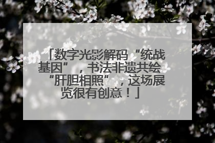 数字光影解码“统战基因”，书法非遗共绘“肝胆相照”，这场展览很有创意！