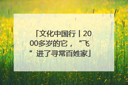 文化中国行丨2000多岁的它，“飞”进了寻常百姓家