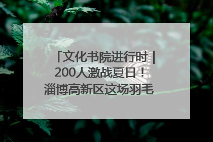 文化书院进行时｜200人激战夏日！淄博高新区这场羽毛球比赛太酷