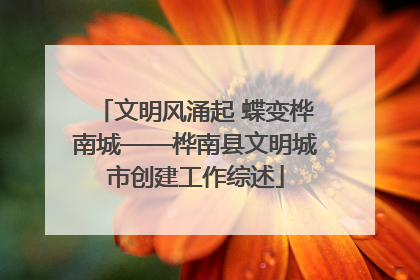 文明风涌起 蝶变桦南城——桦南县文明城市创建工作综述