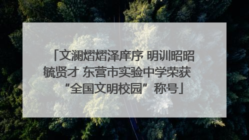 文澜熠熠泽庠序 明训昭昭毓贤才 东营市实验中学荣获“全国文明校园”称号
