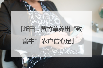 新田：黄竹草养出“致富牛” 农户信心足