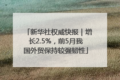 新华社权威快报｜增长2.5%，前5月我国外贸保持较强韧性