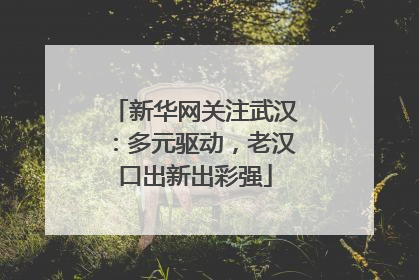 新华网关注武汉：多元驱动，老汉口出新出彩强