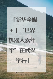 新华全媒+丨“世界机器人嘉年华”在武汉举行