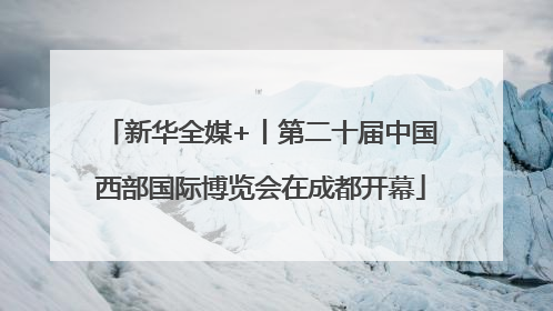 新华全媒+丨第二十届中国西部国际博览会在成都开幕
