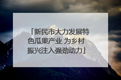 新民市大力发展特色瓜果产业 为乡村振兴注入强劲动力