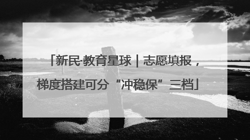 新民·教育星球｜志愿填报，梯度搭建可分“冲稳保”三档