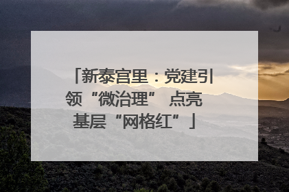 新泰宫里：党建引领“微治理” 点亮基层“网格红”