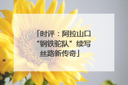 时评：阿拉山口“钢铁驼队”续写丝路新传奇