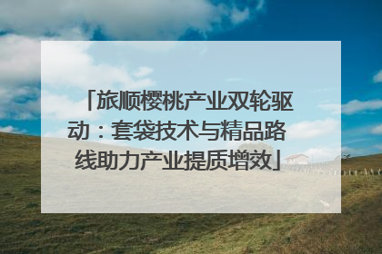 旅顺樱桃产业双轮驱动：套袋技术与精品路线助力产业提质增效