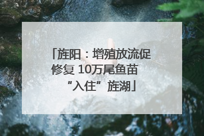 旌阳：增殖放流促修复 10万尾鱼苗“入住”旌湖