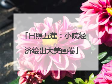 日照五莲：小院经济绘出大美画卷