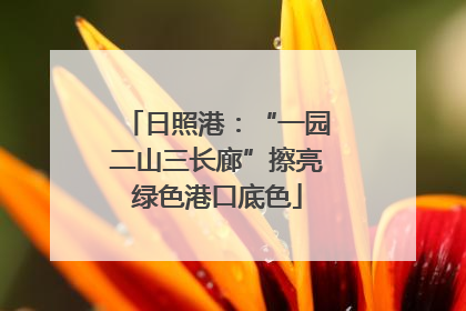 日照港：“一园二山三长廊”擦亮绿色港口底色