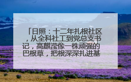 日照：十二年扎根社区，从全科社工到党总支书记，高麒滢像一株顽强的巴根草，把根深深扎进基层的土壤——“巴根草书记”的夏日叙事