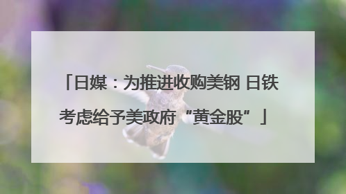 日媒：为推进收购美钢 日铁考虑给予美政府“黄金股”