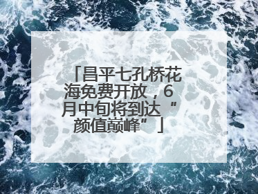 昌平七孔桥花海免费开放，6月中旬将到达“颜值巅峰”