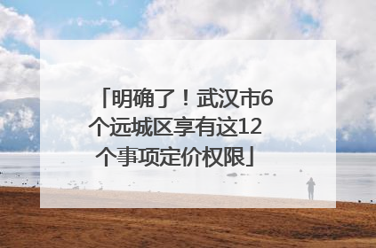 明确了！武汉市6个远城区享有这12个事项定价权限