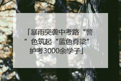 暴雨突袭中考路“警”色筑起“蓝色脊梁”护考3000余学子