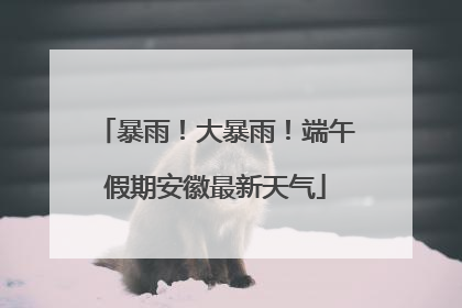 暴雨！大暴雨！端午假期安徽最新天气