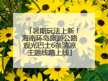 暑期玩法上新！海南环岛旅游公路观光巴士6条清凉主题线路上线