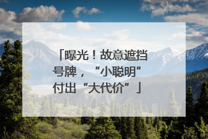 曝光！故意遮挡号牌，“小聪明”付出“大代价”
