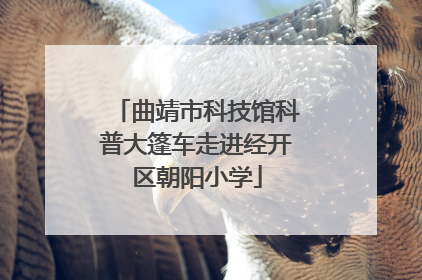 曲靖市科技馆科普大篷车走进经开区朝阳小学