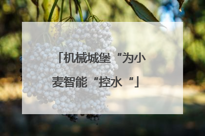机械城堡“为小麦智能“控水“