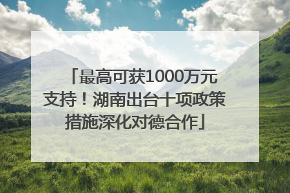 最高可获1000万元支持！湖南出台十项政策措施深化对德合作