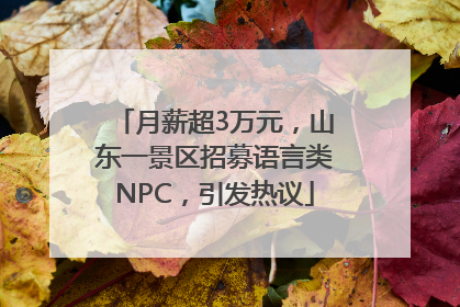 月薪超3万元，山东一景区招募语言类NPC，引发热议