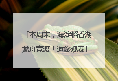 本周末，海淀稻香湖龙舟竞渡！邀您观赛