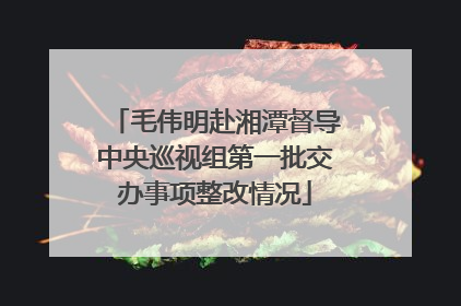 毛伟明赴湘潭督导中央巡视组第一批交办事项整改情况