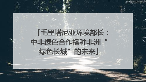 毛里塔尼亚环境部长：中非绿色合作播种非洲“绿色长城”的未来